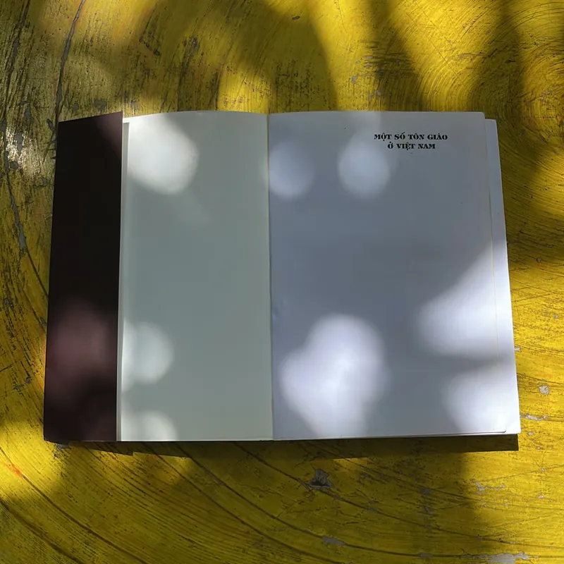 MỘT SỐ TÔN GIÁO Ở VIỆT NAM(2)- NGUYỄN THANH XUÂN 687593