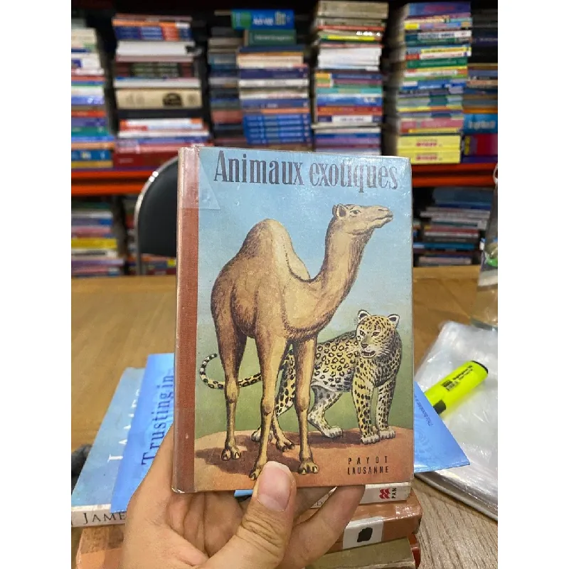 Animaux Exotiques 560699