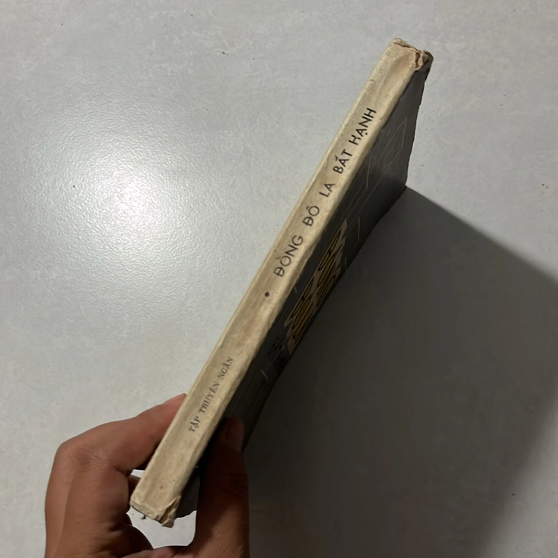 Đồng Đô La bất hạnh — 1983s 495541