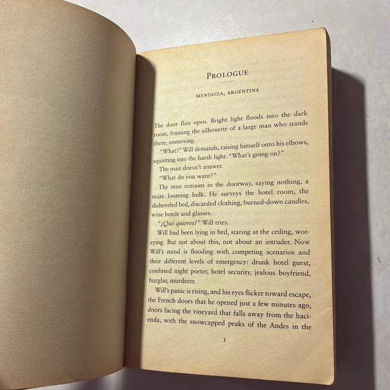 The Travelers - Chris Pavone 791797