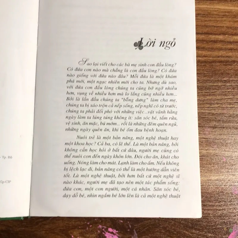 Viết cho các bà mẹ sinh con đầu lòng  970381