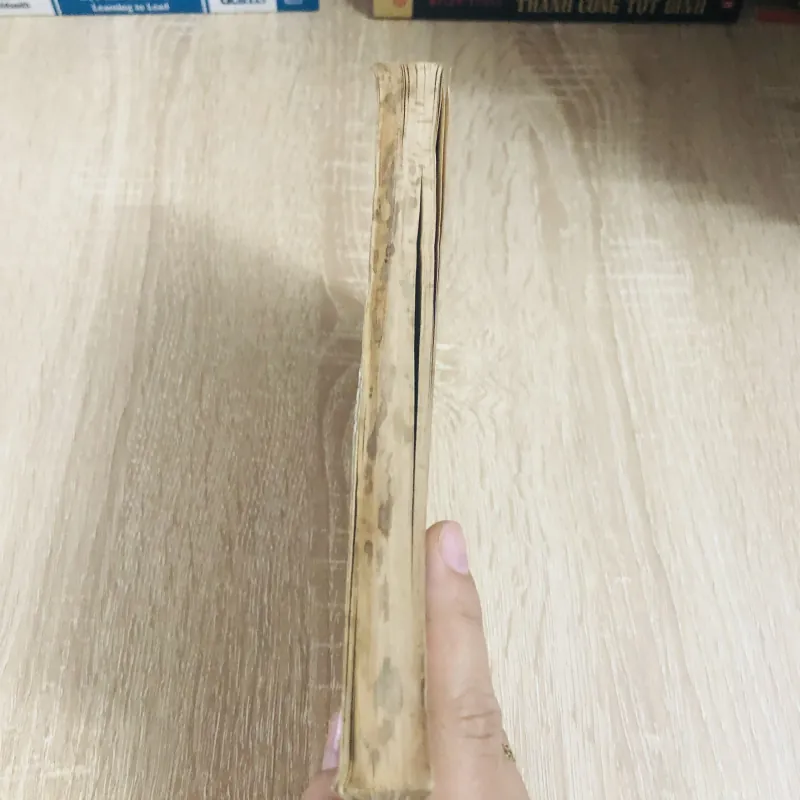 TRUYỆN CỔ GRIM ( T3) 1030456