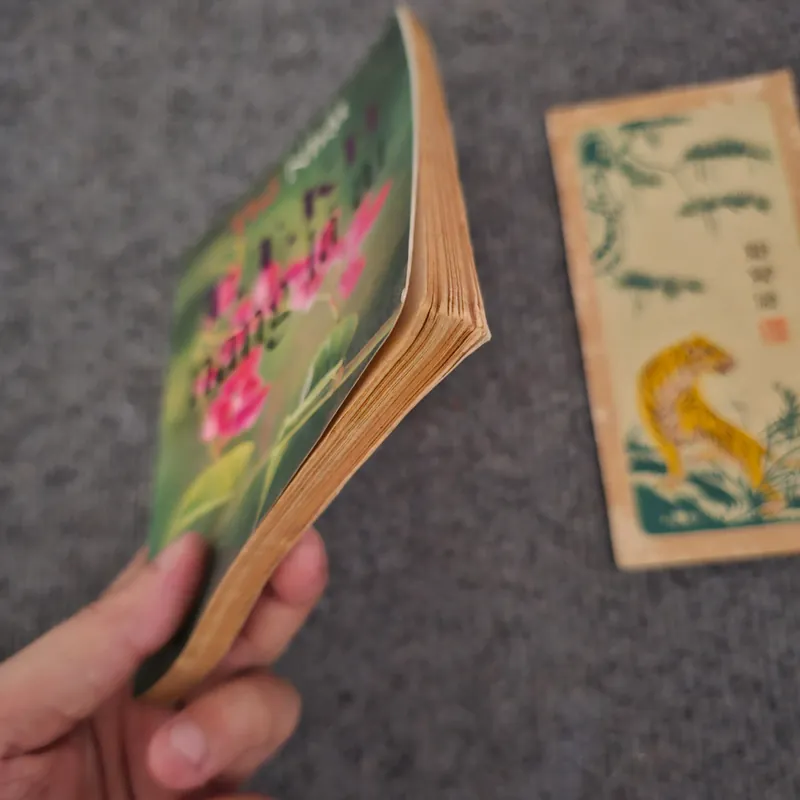 T.T.Kh nàng là ai? 736856