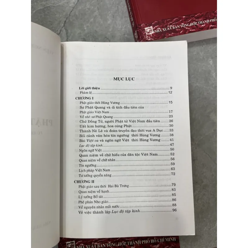 LỊCH SỬ PHẬT GIÁO VIỆT NAM - LÊ MẠNH THÁT 1029498