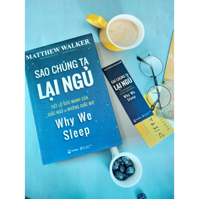 Sách Sao chúng ta lại ngủ 142011