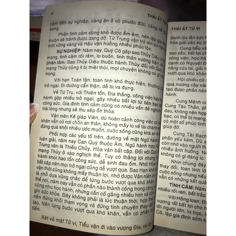 Thái Ất tử vi Tử vi mạng số toàn niên - Quý Tỵ 2013 - Vương Dung Cơ luận giải 1000123