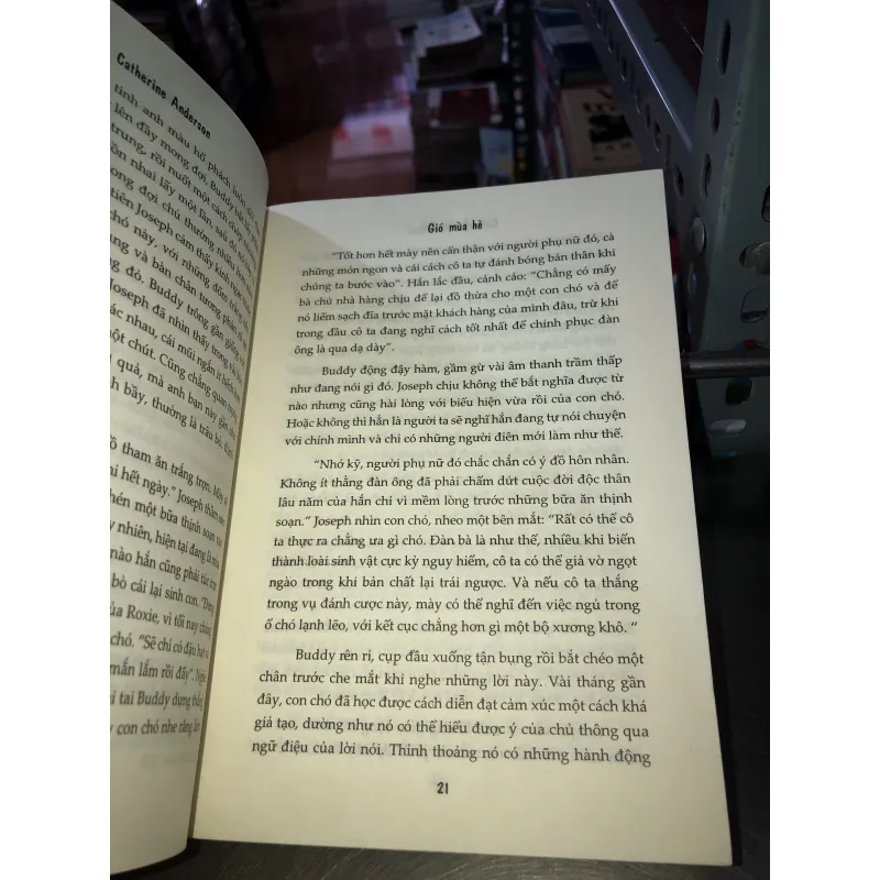 Gió mùa hè - Cartherine Anderson 1002452