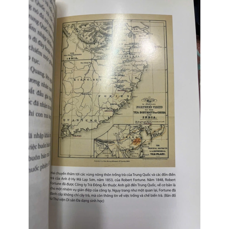 LỊCH SỬ CỦA TRÀ 541358