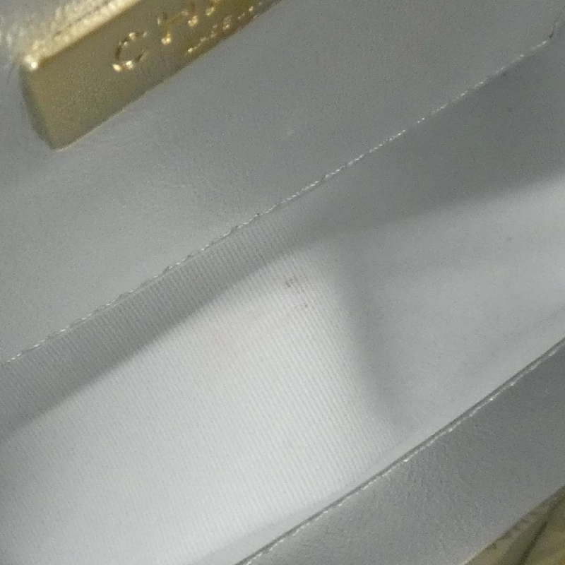 Túi xách vai Chanel AS4579 612169