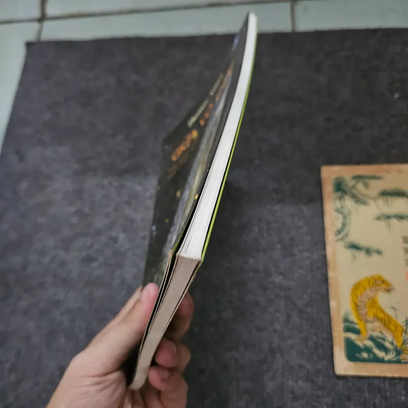 Giữa vô cực - Thomas ames 737272