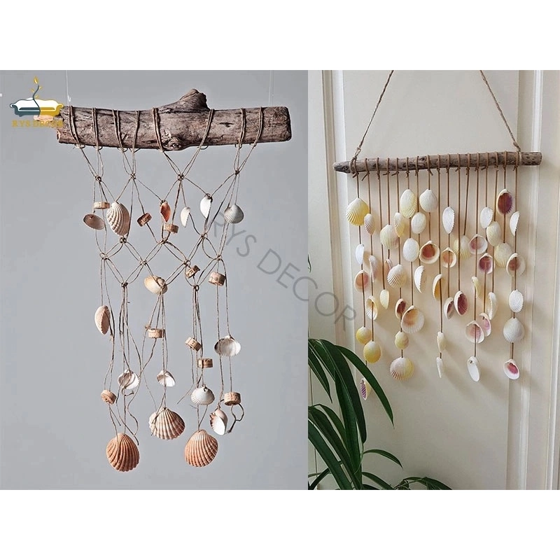 Combo Vỏ ốc sò làm tranh handmade- 40 vỏ 508952