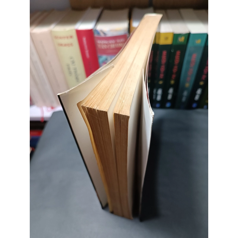 Những cấu trúc sinh hoạt thường ngày (Braudel) 323990