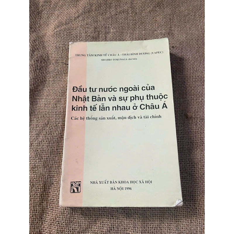 Đầu tư nước ngoài của Nhật bản và sự phụ thuộc kinh tế lẫn nhau ở Châu Á 452533