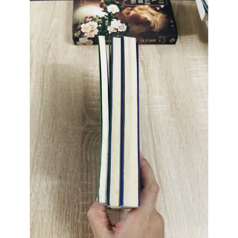 HIỆU ỨNG CHIM MỒI ( 3 tập) 1003982