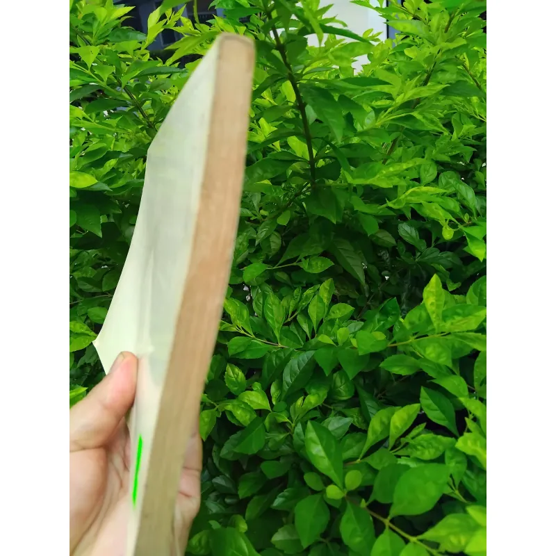 An Nam dịch ngữ do Vương Lộc giới thiệu và chú giải 1001269