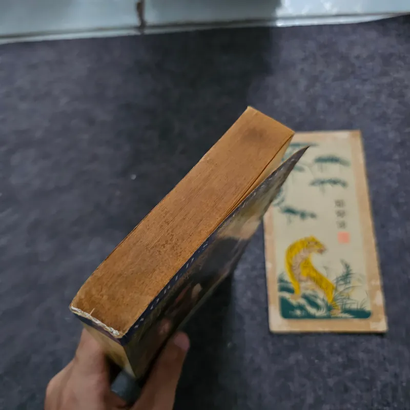 The mayor of casterbridge - thomas hardy 740858