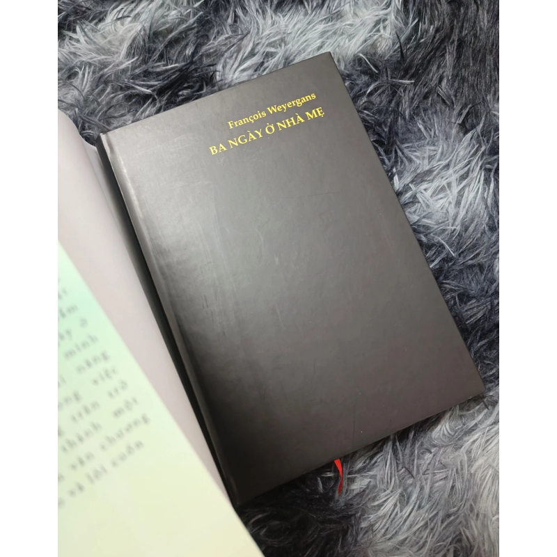 Ba ngày ở nhà mẹ 472793