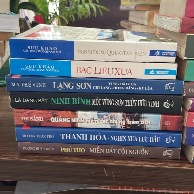 Việt Nam Các vùng Văn Hoá 16 Tỉnh Thành 721041