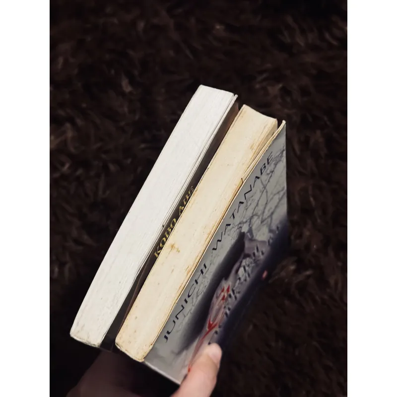 Combo 2c Văn học Nhật Bản 778724