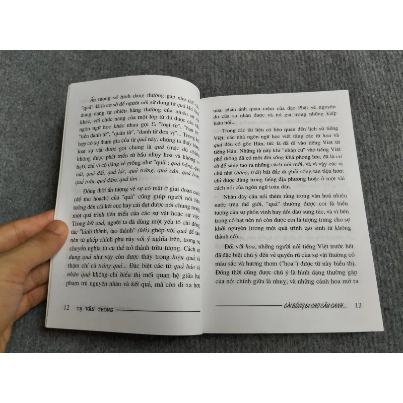 CÁI BỐNG ĐI CHỢ CẦU CANH... - TẠ VĂN THÔNG 570999