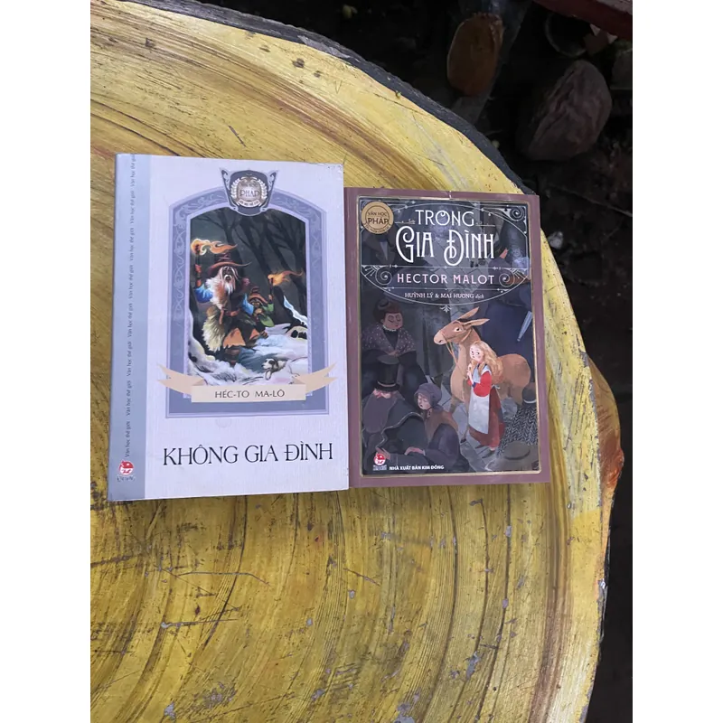 COMBO HECTOR MALOT- KHÔNG GIA ĐÌNH & TRONG GIA ĐÌNH 735560