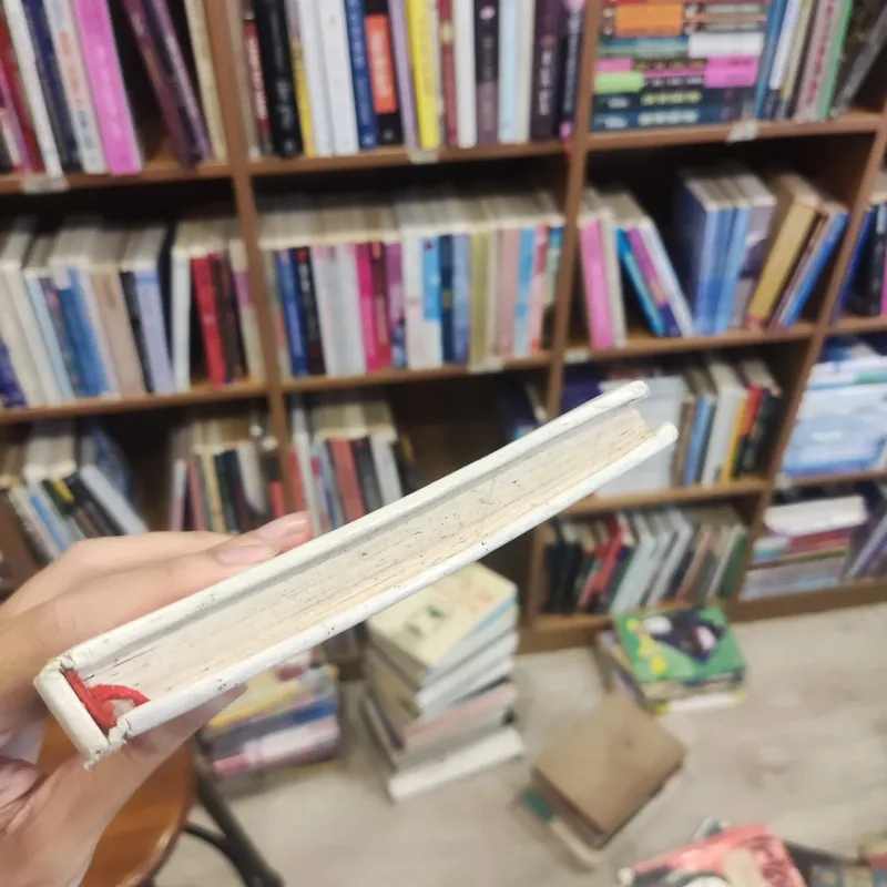 Tottochan Bên Cửa Sổ - Kuroyanagi Tetsuko 482506