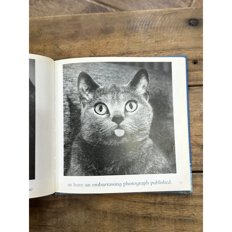 The Blue Day Book - Bradley Trevor Greive 728434