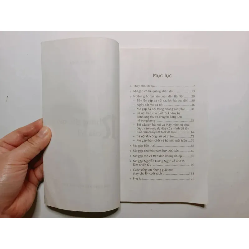 Những Giấc Mơ Của Tôi - Tạ Duy Anh 800105