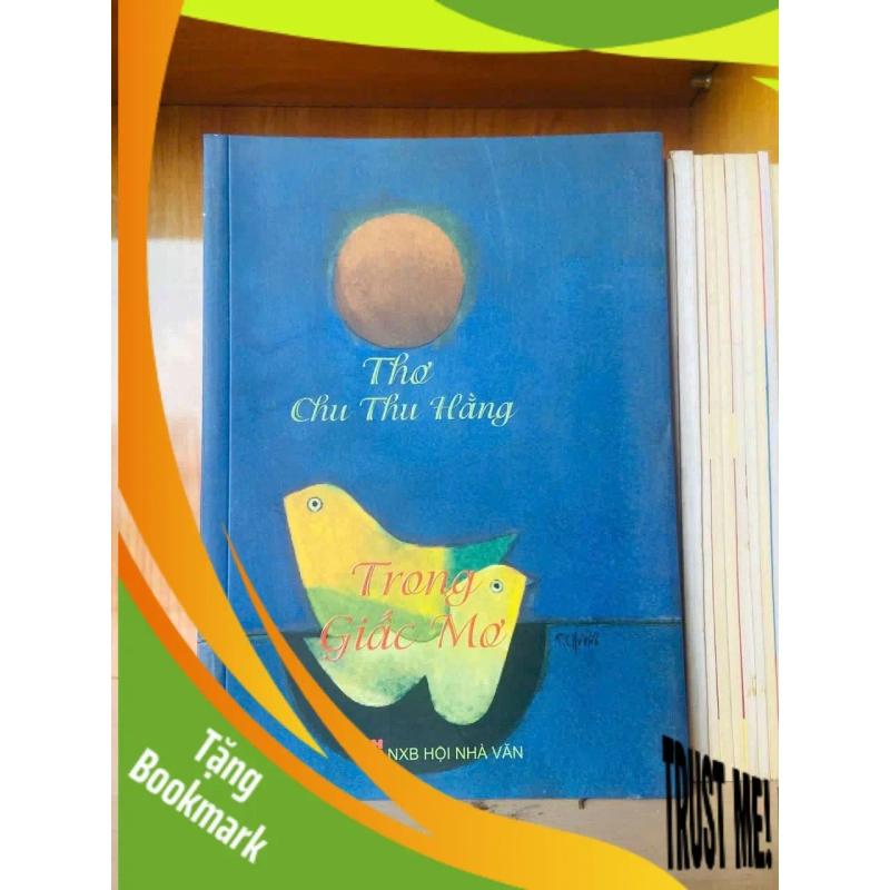 (TẶNG BOOKMARK) Trong giấc mơ - Chu Thu Hằng VĂN HỌC RBK0810 954696