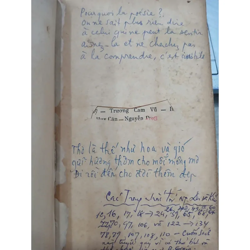 ĐI VÀO CÕI THƠ - BÙI GIÁNG 733838