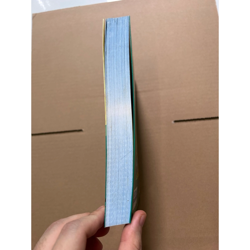 Cẩm nang luyện dịch Việt - Anh 541857