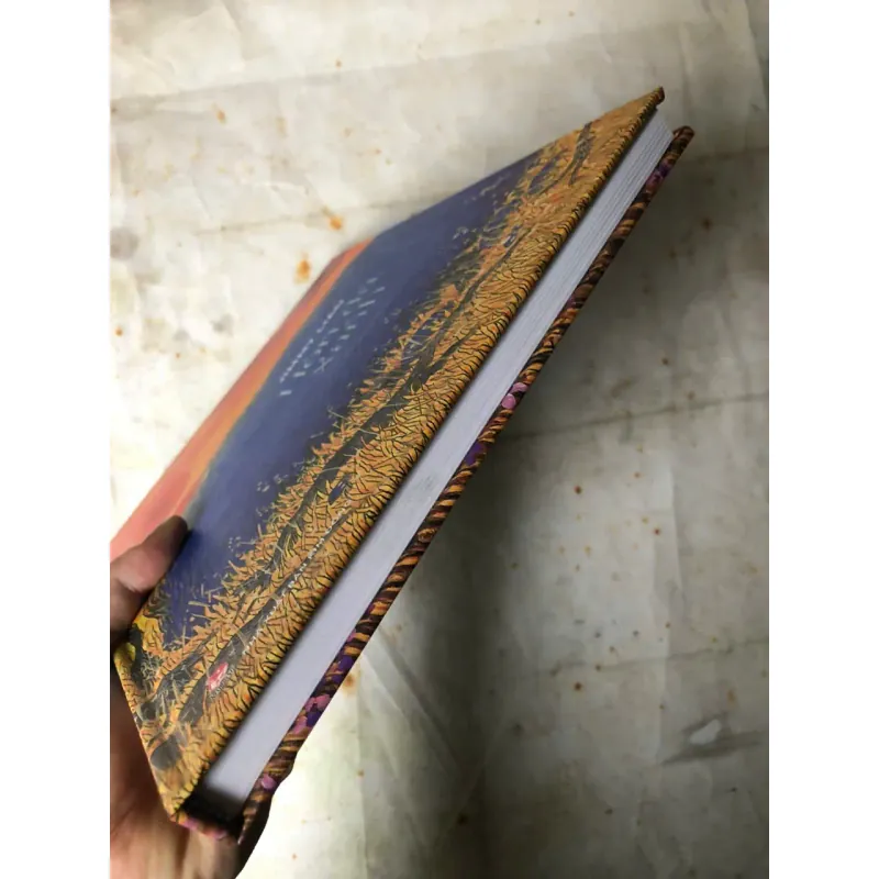 Hòn Đá Xanh - Jimmy Liao (bìa cứng) 745464