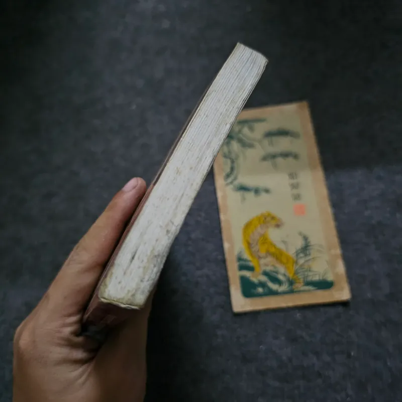 Tình yêu kéo dài 3 năm 736632