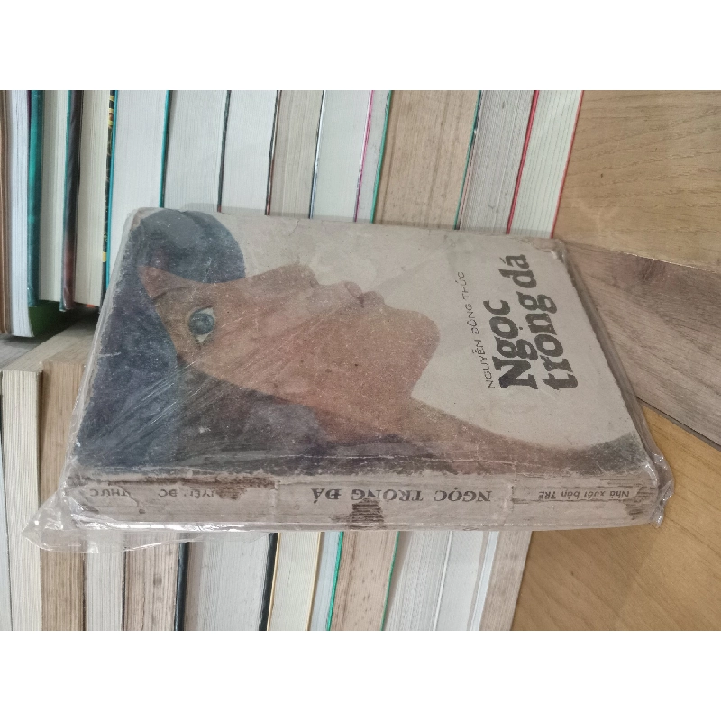 Ngọc trong đá - Nguyễn Đông Thức 175224