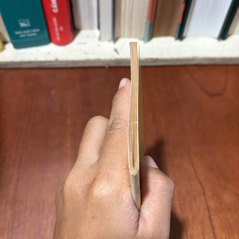 II Sách Phật Giáo: Vượt Qua Nghiệp Chướng - Tỳ Kheo Thích Tuệ Hải - 2007 719534