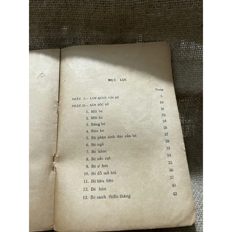 Bs Đỗ Hồng Ngọc - chăm sóc trẻ từ sơ sinh đến 3 tuổi  800118