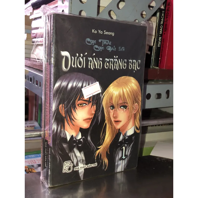 Dưới ánh trăng bạc - Ko Ya Seong 973729