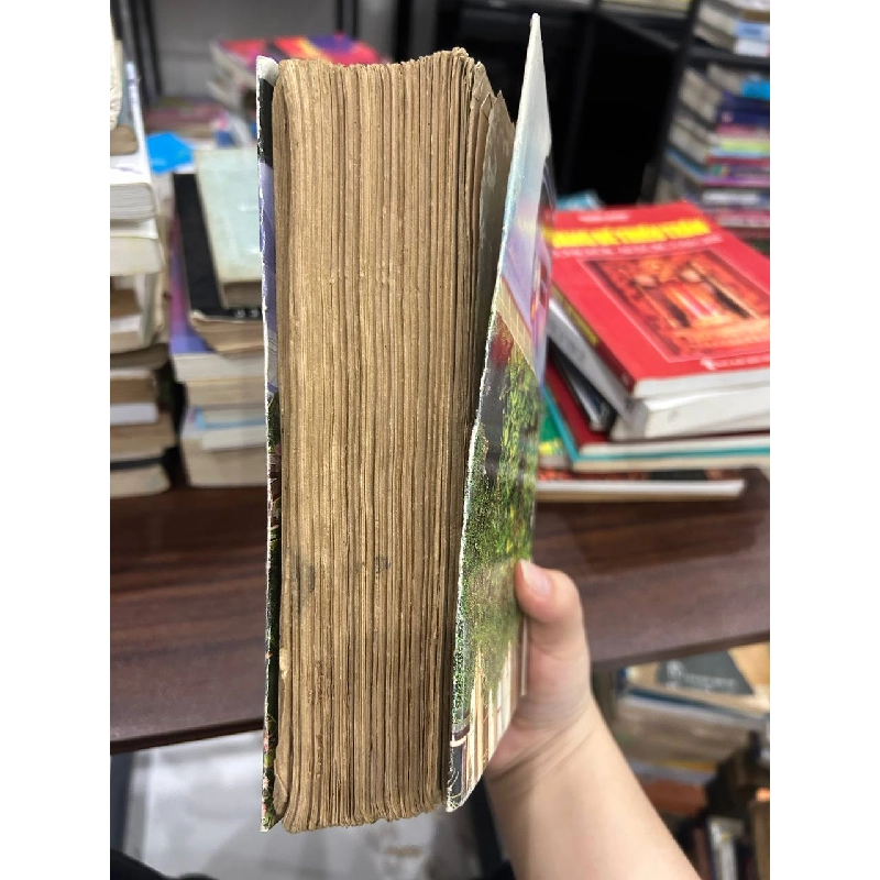 Đệ Nhất Phu Nhân - Hoàng Trọng Miên 932870