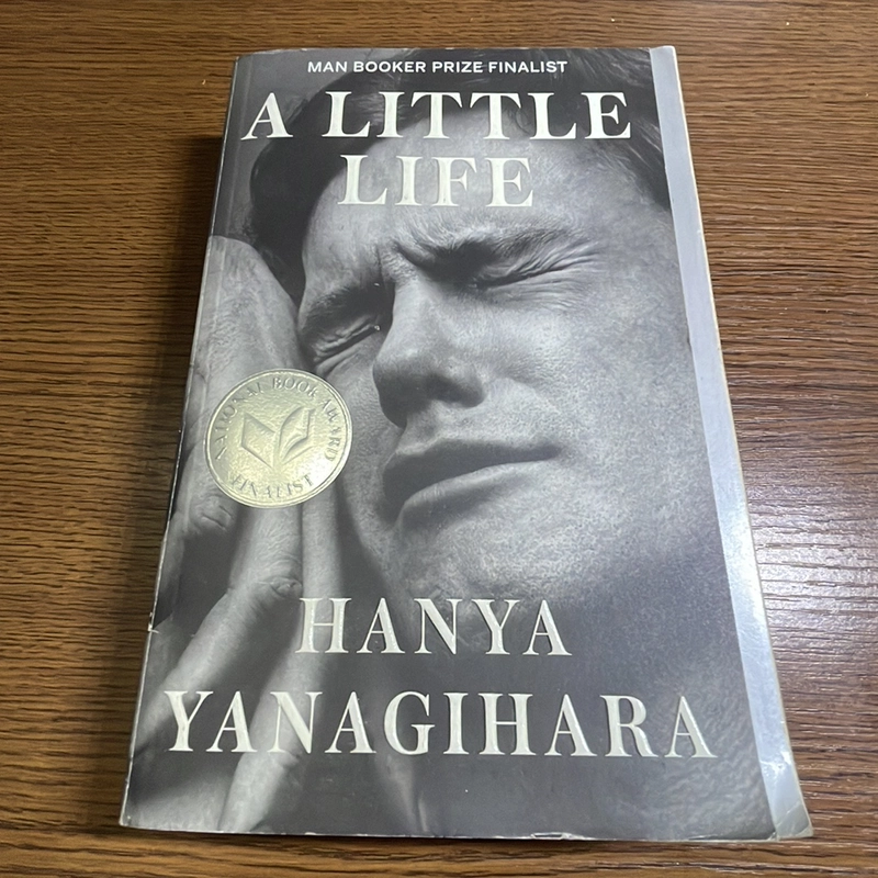 A little life Hanya Yanagihara 377839