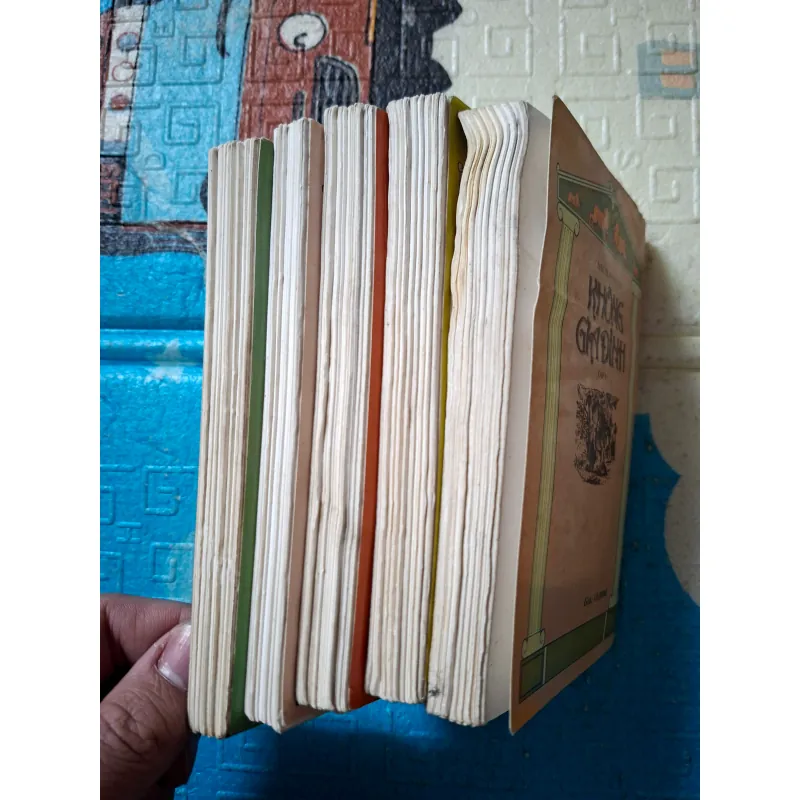 Không Gia Đình (bộ 5 tập) 789372