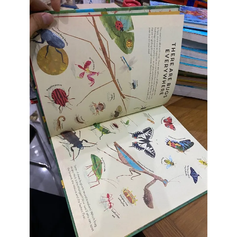 There Are Bugs Everywhere - Britta Teckentrup 550898