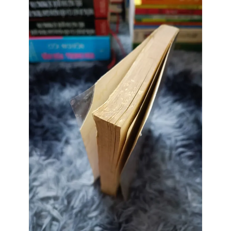 Con mắt thơ (Đỗ Lai Thúy) 1023961