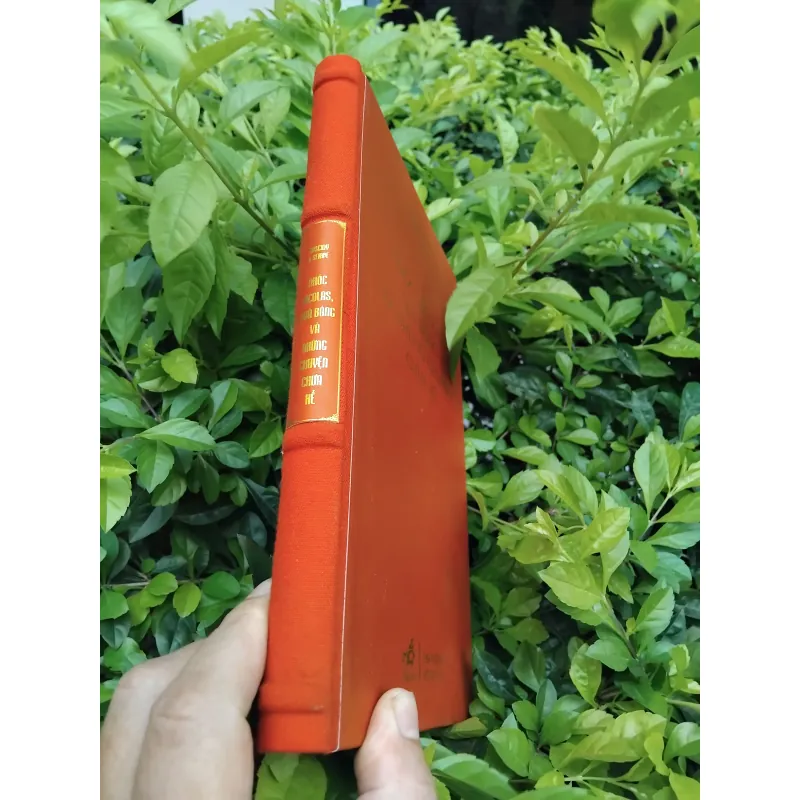 Nhóc Nicolas, quả bóng và những chuyện chưa kể 936598