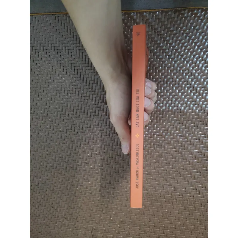 Cây cam ngọt của tôi 1063298