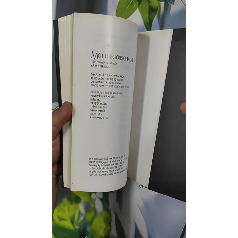 Một Thế Giới Bị Chia Cắt - Sâm Thương 798433