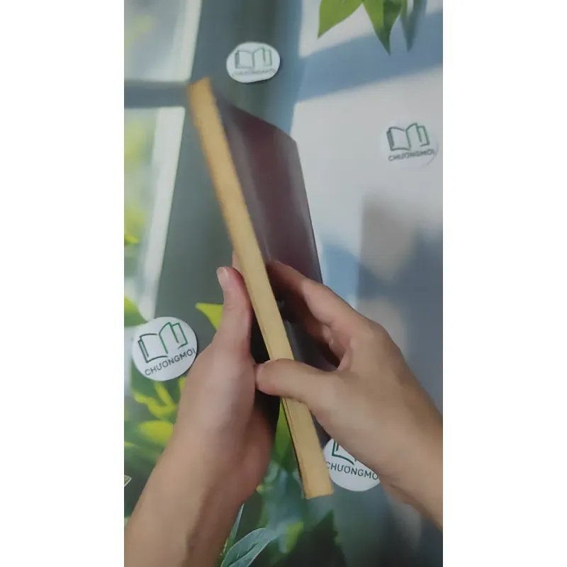 [MIỄN PHÍ BỌC SÁCH] [XƯA] Đất Nước Việt Nam Qua Các Đời (1997) - Đào Duy Anh 1018954