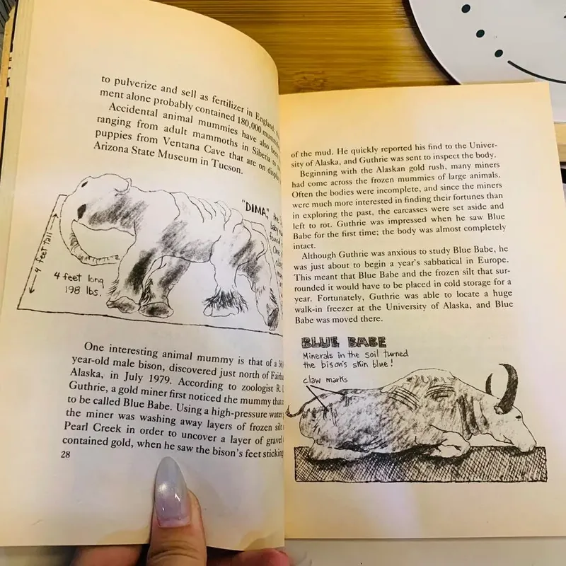 🪦 How to Make a Mummy Talk – James M. Deem 566133