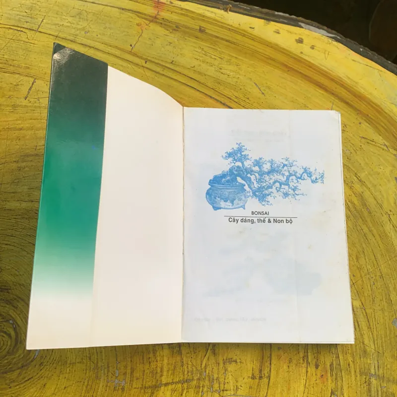 COMBO BONSAI Cây dáng, thế và Non bộ  775779