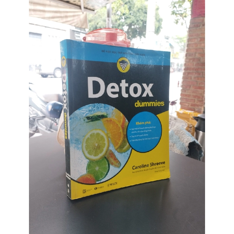 Detox Dummies - Caroline Shreeve 355990