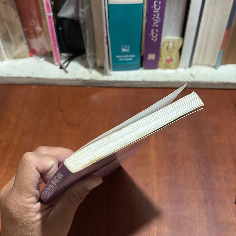 II Pháp Lệnh: Xử Lý Vi Phạm Hành Chính Năm 2002; Sửa Đổi Năm 2007 1002131